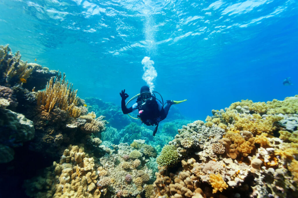 A scuba diver exploring a vibrant coral reef underwater, surrounded by colorful marine life, while giving an "OK" hand signal in clear blue waters.