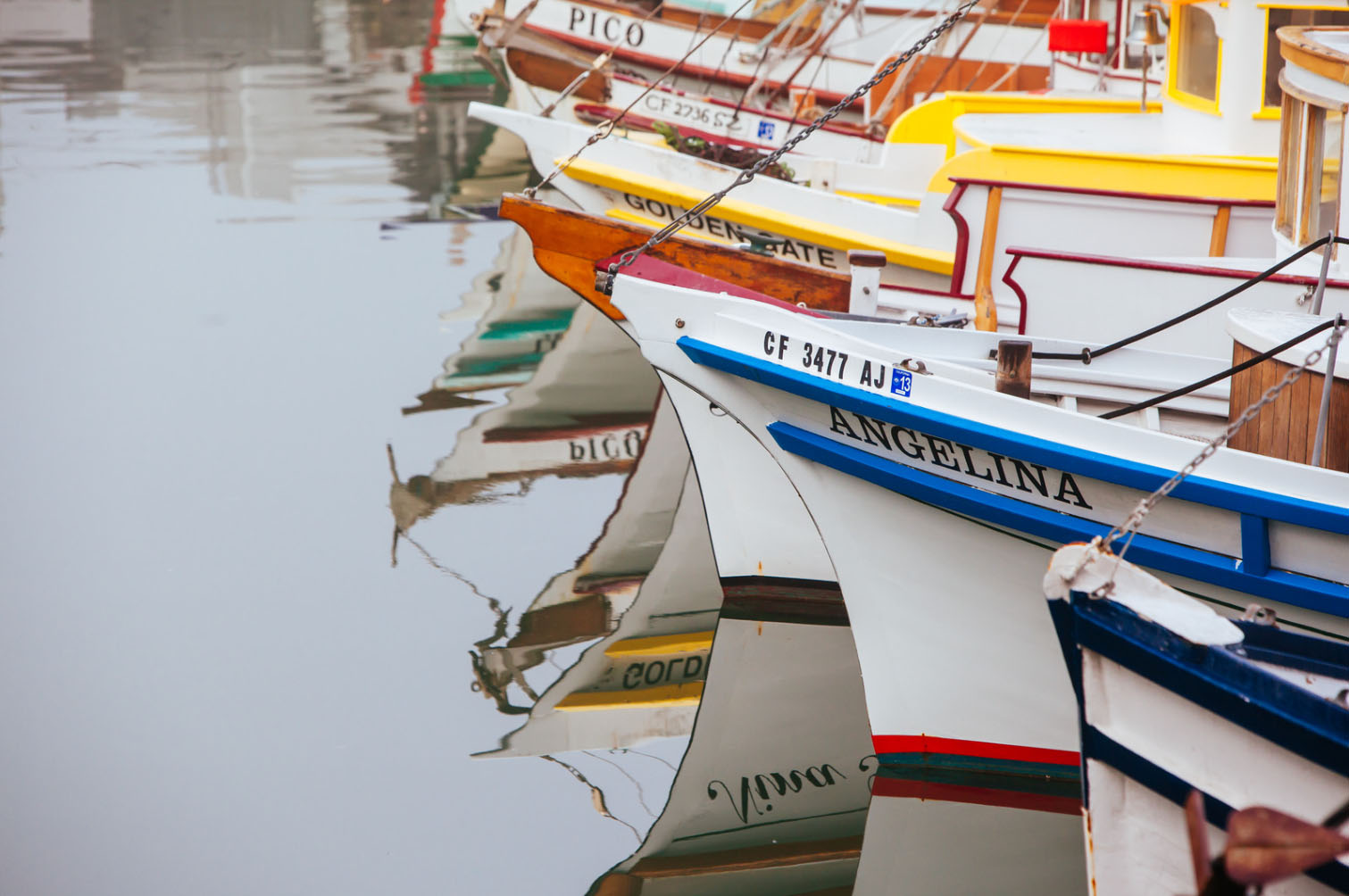 A close-up of several colorful boats docked in calm water, with their names visible on the bow. The boats include "ANGELINA," "PICO," "GOLDEN STATE," and others, reflecting in the water below.