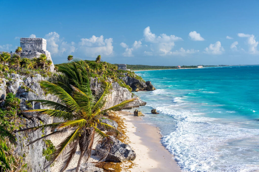 A scenic view of Tulum, Mexico, showing ancient Mayan ruins on a rocky cliff, with a palm tree in the foreground and the turquoise ocean in the background.