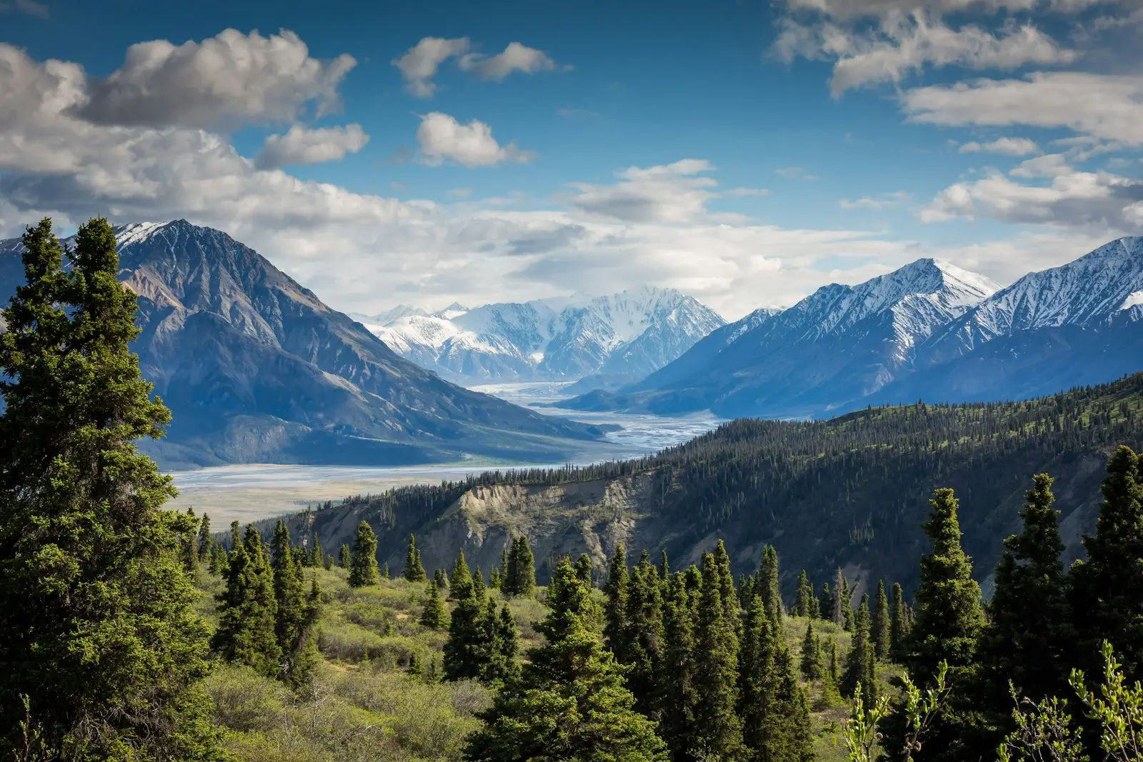 location card canmore